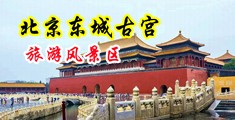 老头操B视频视中国北京-东城古宫旅游风景区